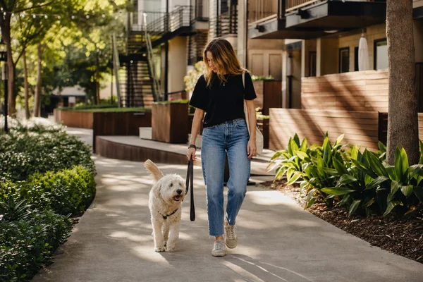 ESA & Service Animal Friendly — image 2