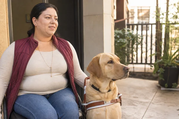 ESA & Service Animal Friendly — image 3